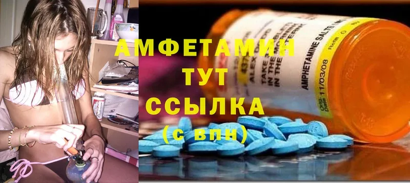 где можно купить   Сосновка  Amphetamine VHQ 