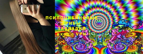 индика Верхний Тагил