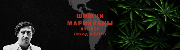 индика Верея